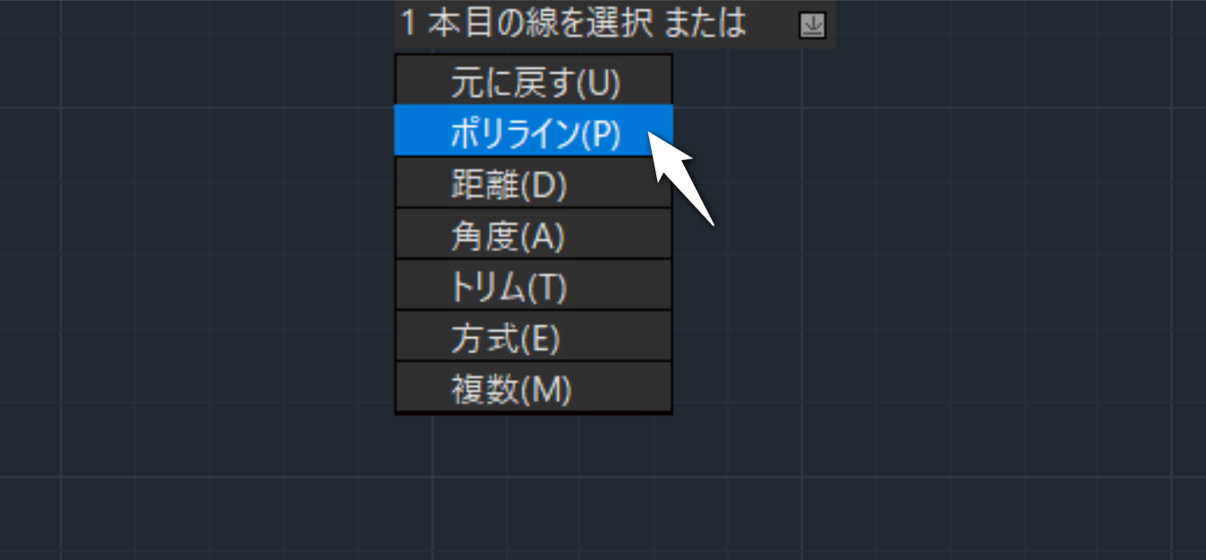 IJCAD 2025 オプション2.png
